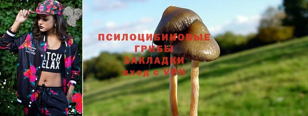 ПСИЛОЦИБИНОВЫЕ ГРИБЫ Елабуга