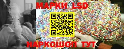 стаф Берёзовский