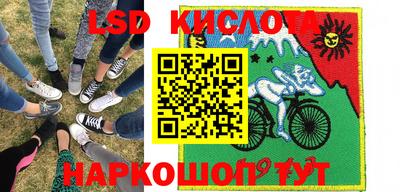 стаф Берёзовский