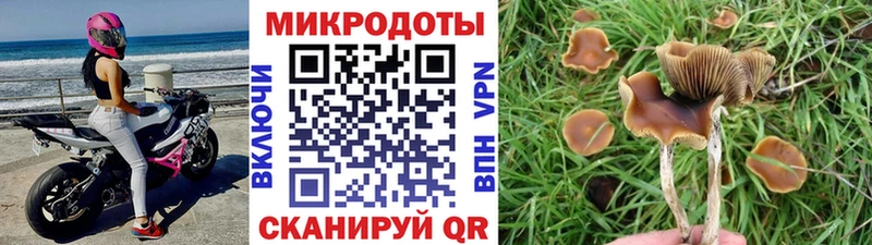 Галлюциногенные грибы GOLDEN TEACHER  mega онион  Павловский Посад 