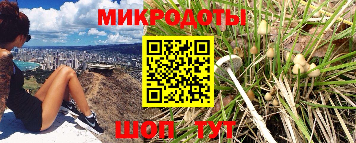 Галлюциногенные грибы Magic Shrooms Павловский Посад