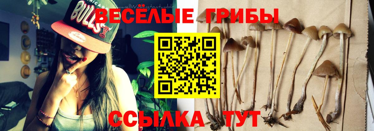 Псилоцибиновые грибы MAGIC MUSHROOMS Павловский Посад